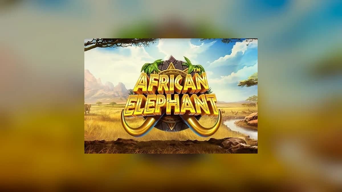 African Elephant